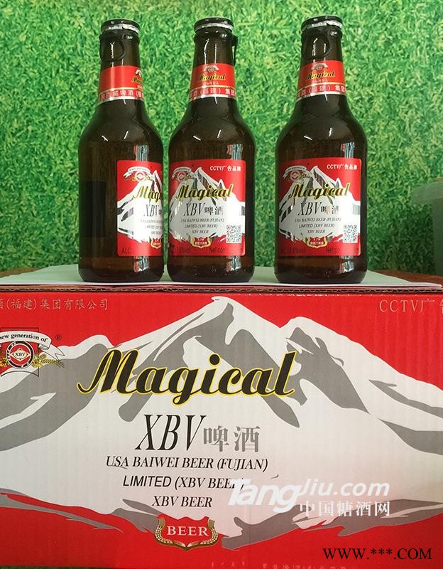 百威瓶装啤酒图1