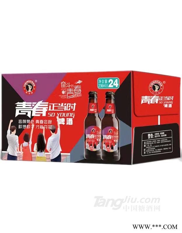 青春正当时啤酒瓶装-236mlx24图1
