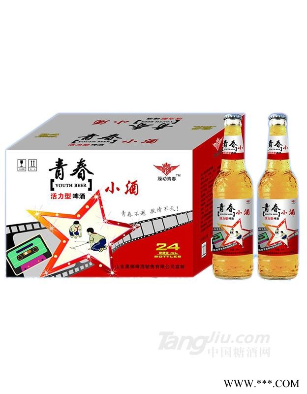青春活力啤酒-330ml图1