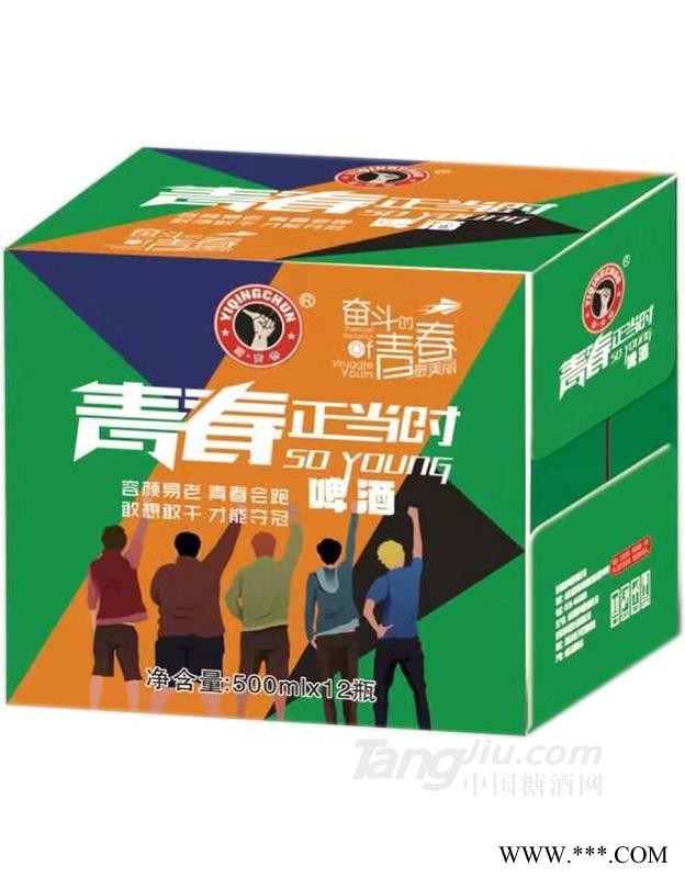 青春正当时啤酒瓶装-500mlx12图1