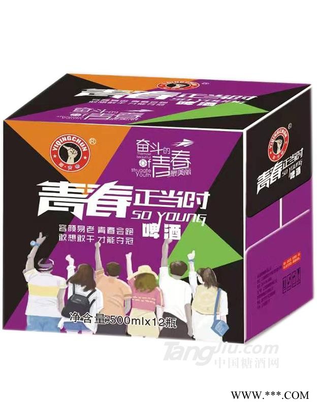 青春正当时黄啤酒-500mlx12图1