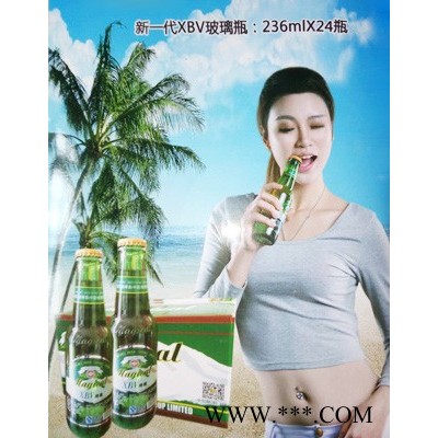 新一代百威XBV玻璃瓶236ml 24瓶