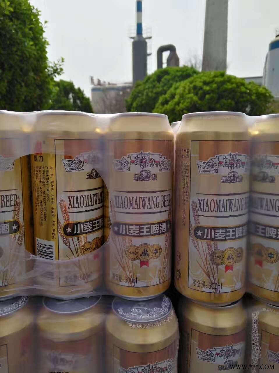 500毫升小麦王易拉罐啤酒图1