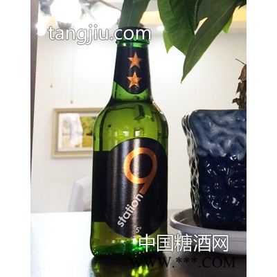 荷兰原装原瓶进口狮得森啤酒7