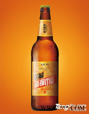 泰山原浆啤酒瓶装图1