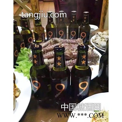 荷兰原装原瓶进口狮得森啤酒6