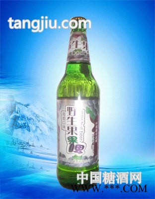 青岛崂岸啤酒500ml野生果啤图1