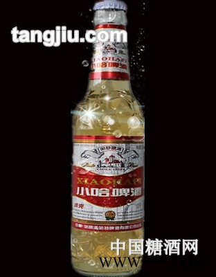 小哈啤酒图1