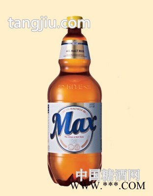 麦思1.6升图1