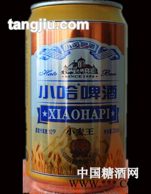 10°P小哈啤酒小麦王330ml