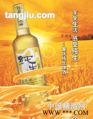 9.5°p500ml山城1958啤酒图1
