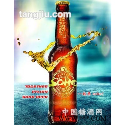 SOHO啤酒·330ml特纯
