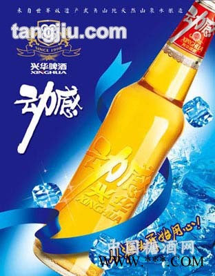 动感兴华图1