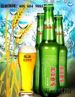 荞麦啤酒图1