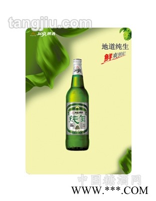 北京8度啤酒（大瓶）500ml