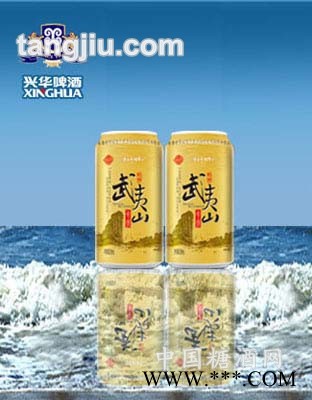 武夷山金罐图1