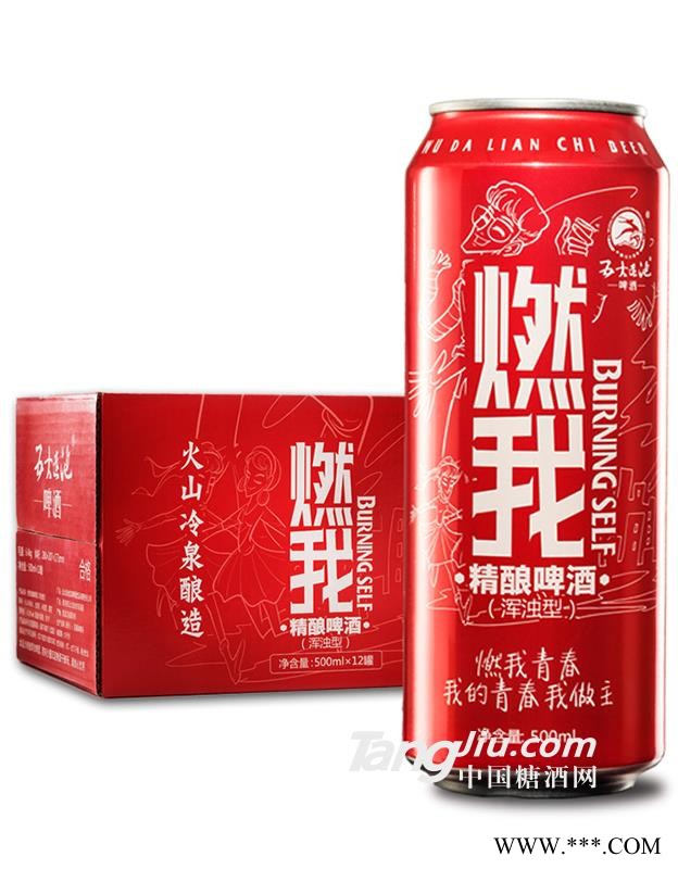 燃我精酿啤酒（浑浊型）500ml×12