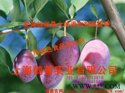 叶酸生产厂家图1