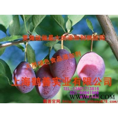 叶酸生产厂家