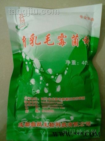 毛霉菌图1
