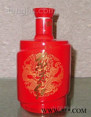 剑南春6陶瓷酒瓶