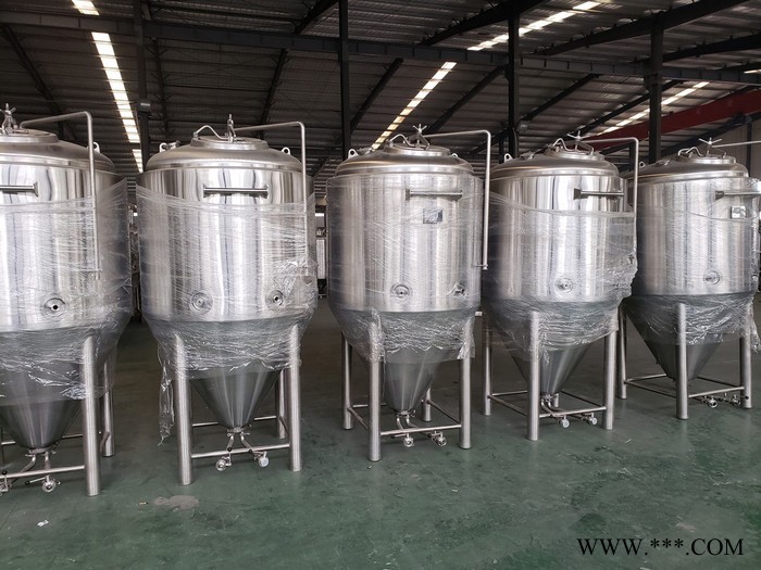 300升钛金糖化罐 啤酒发酵设备 小型啤酒设备 啤酒设备 精酿啤酒设备图6