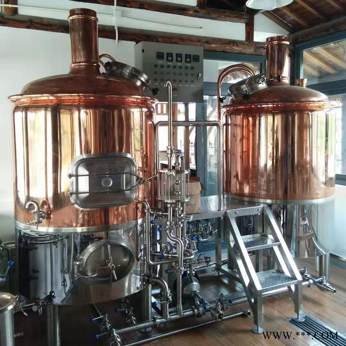 正麦500L 微型啤酒设备 小型自酿啤酒设备 酿啤酒设备 啤酒设备配件 自酿啤酒设备 啤酒设备图2