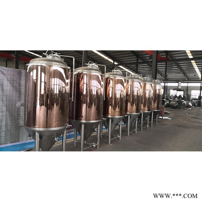正麦500L 微型啤酒设备 小型自酿啤酒设备 酿啤酒设备 啤酒设备配件 自酿啤酒设备 啤酒设备图6