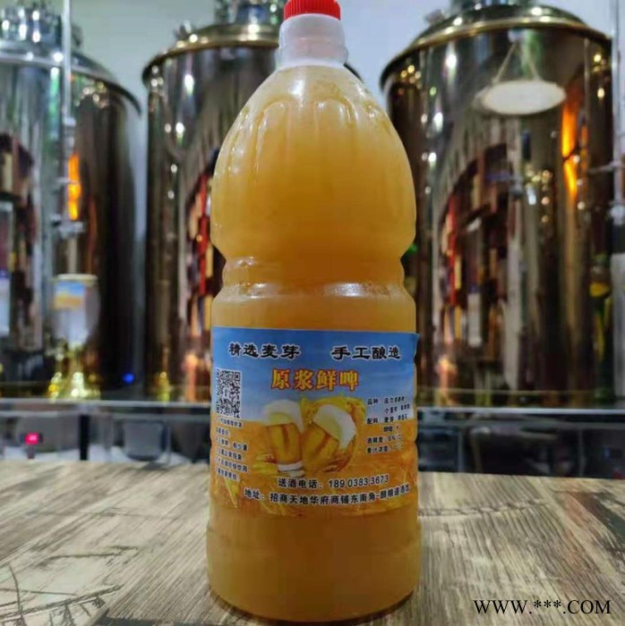 河南厂家定制 啤酒设备 精酿啤酒设备 鲜啤酒酿造设备专业生产厂家图4