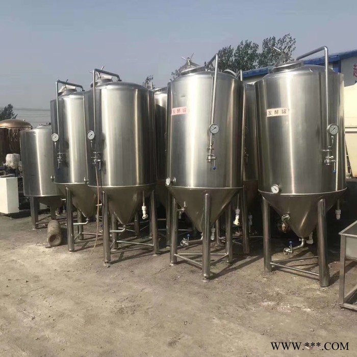 出售啤酒设备自酿啤酒设备二手啤酒设备二手啤酒发酵罐型号齐全图6