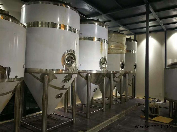 尊皇 高端自酿啤酒设备图3