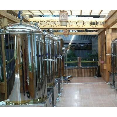 啤酒设备,日产设备,日产500升自酿啤酒设备（不锈钢）