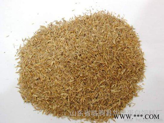 厂家供应饲料级啤酒糟    畜禽饲料原料  货源充足 欢迎订购图3