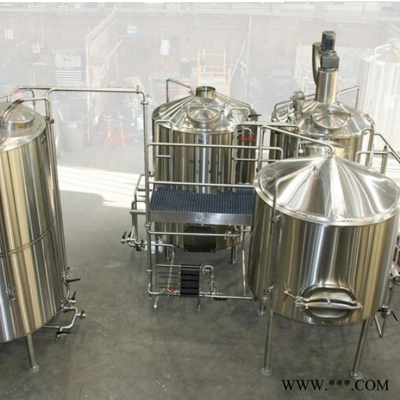 精酿啤酒设备生产线果酒设备红酒设备图2