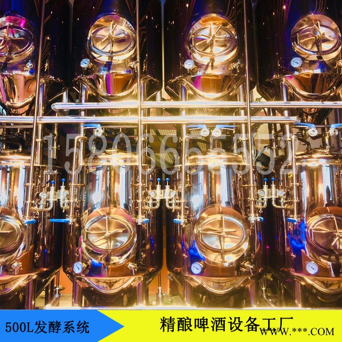 济南正麦500升精酿啤酒设备发酵罐 酿酒设备大型 304不锈钢酿酒设备 全自动酿酒设备图4