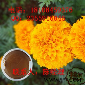 现货供应啤酒花提取物CAS号8007-04-3  厂家现货图2