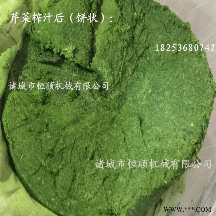 功能饮料酵素饮品蓝莓酵素汁压榨机 黑加仑、树莓红酒干红压榨机图4