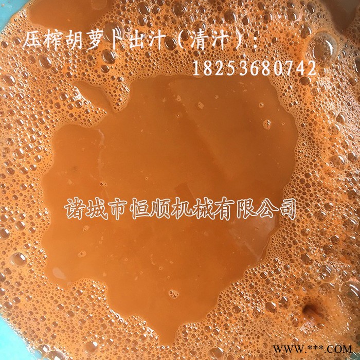 低度桑葚蓝莓冰酒冷榨压酒设备 **桑葚发酵红酒发酵压滤机图4