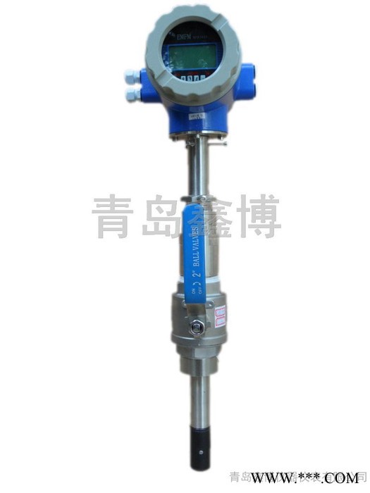 生产批发 啤酒麦汁电磁流量计 黑液流量计 青岛鑫博图4