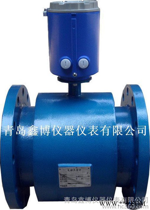 供应啤酒麦汁电磁流量计 自来水流量计 青岛鑫博图4