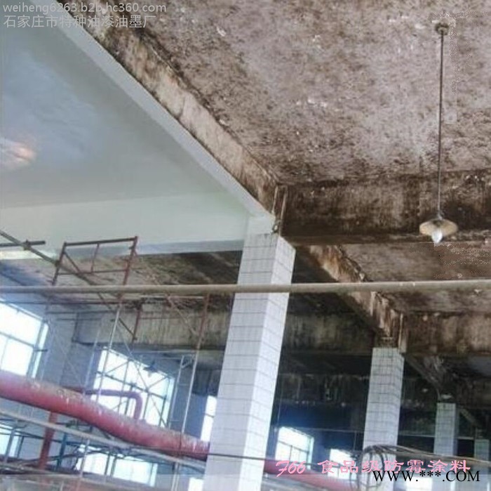 胜发9512食品厂防霉涂料 饮料车间防霉漆_大理食品厂防霉_ 贵阳 凯里泡椒车间 白酒酿造车间9512防霉漆图6