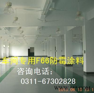 F66防霉（藻）涂料 墙面防霉涂料 啤酒灌装车间防霉漆 酱油发酵车间内墙防水漆|牛奶灌装间防霉图5