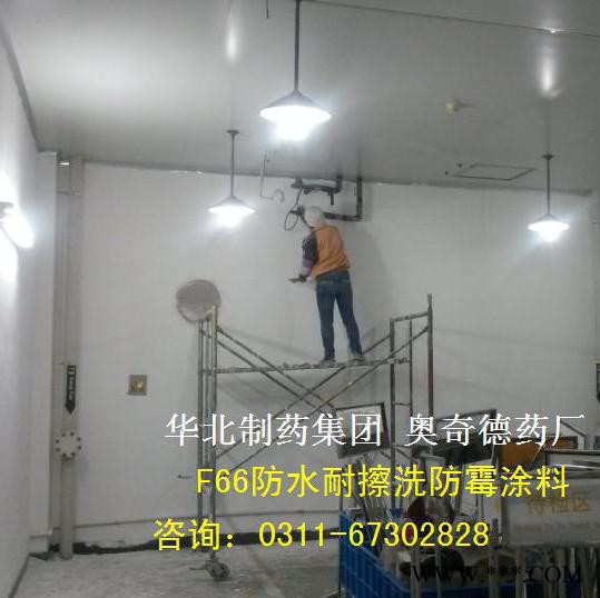 胜发F66防霉涂料 威海啤酒厂防水防霉涂料 酿造间耐水抑菌防霉漆  糕点间防霉瓷釉漆  内墙墙面漆图6