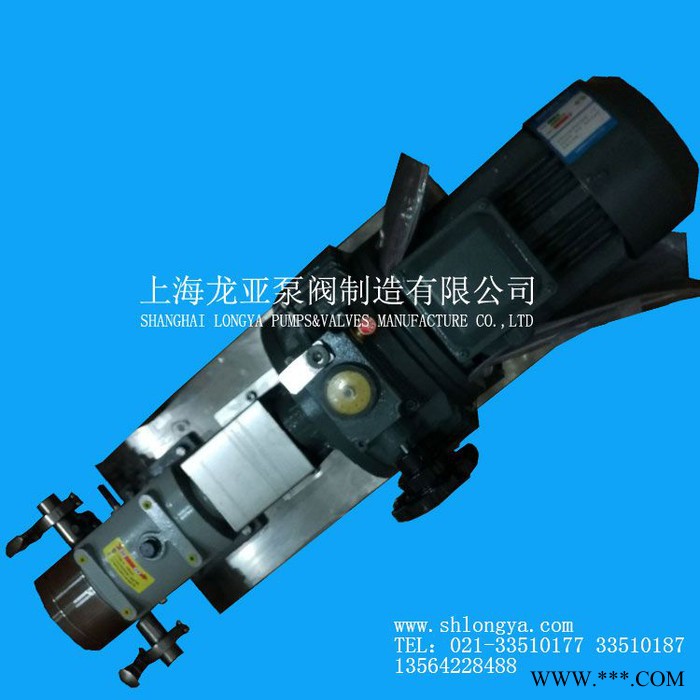 供应ZB3A-52啤酒泵 TZB系列化工转子泵 耐磨转子泵图4