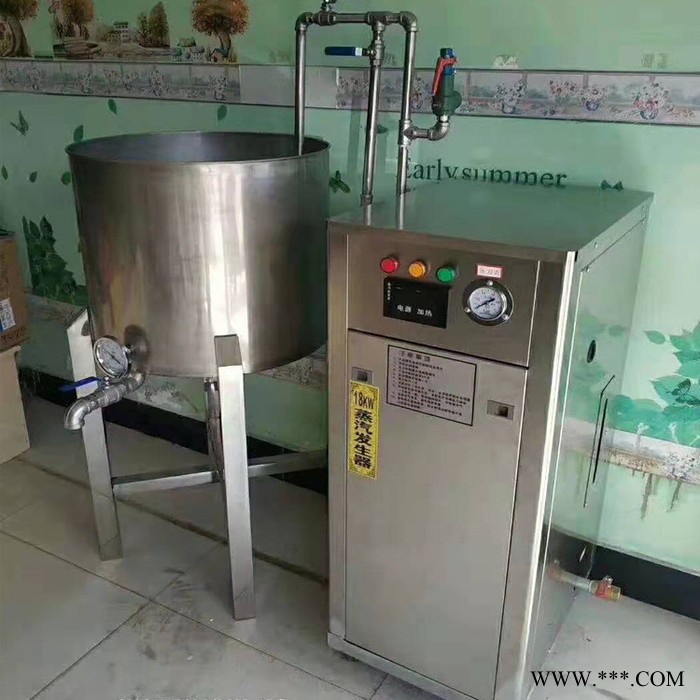 电加热蒸汽发生器啤酒发酵罐空消 全自动消毒电蒸汽锅炉图7