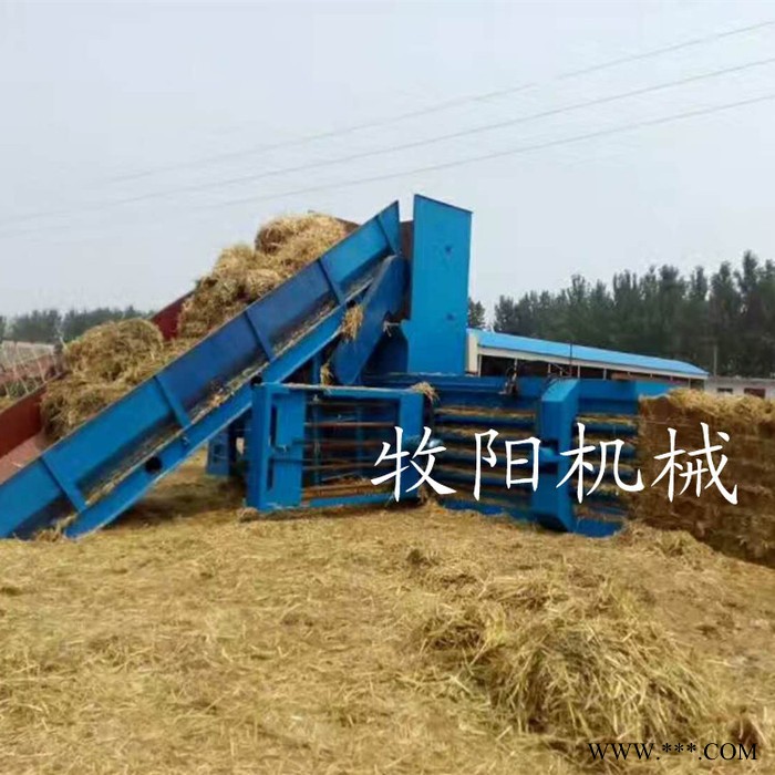 小型卧式液压打包机 塑料薄膜液压打捆机 啤酒花卧式液压打包机图5