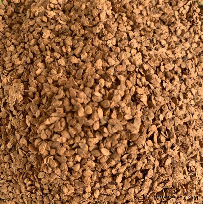 芝麻粕营养含量高 畜禽饲料原料 蘑菇渣  金针菇渣 菌糠杏鲍菇渣 金针菇渣 苹果渣 梨渣 酱油渣 燕麦糠 啤酒糟 麦芽根图3