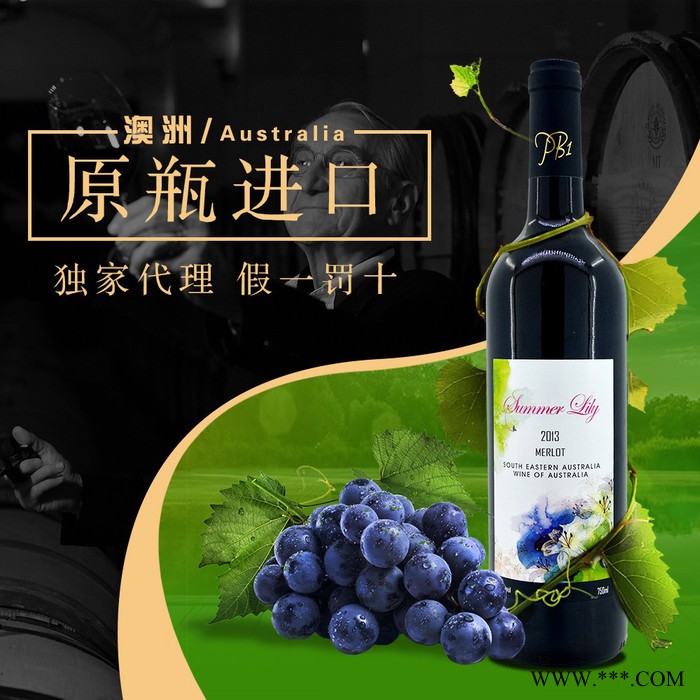 澳洲夏日百合干红葡萄酒红酒图5