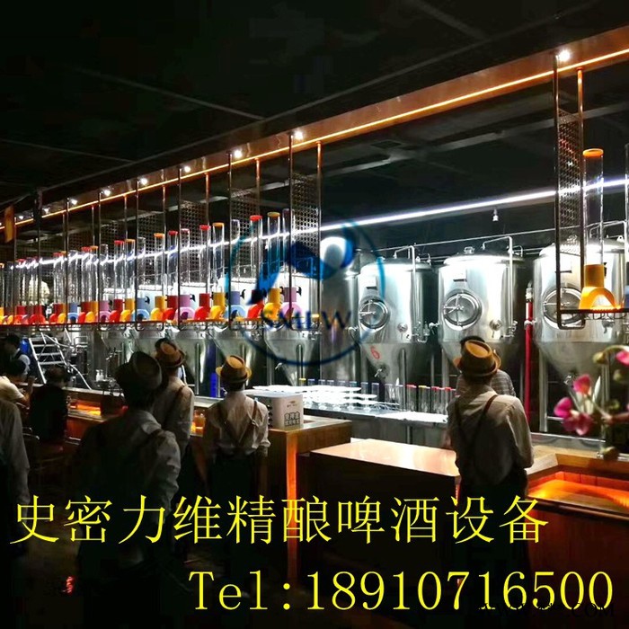 【啤酒机器设备】小型啤酒设备 自酿啤酒设备  精酿啤酒设备  **图2