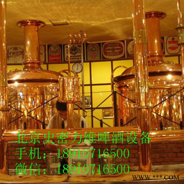 【啤酒机器设备】小型啤酒设备 自酿啤酒设备  精酿啤酒设备  **图6